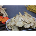 Health Herb Chinese Angelica Sinensis (Oliv.) Diels